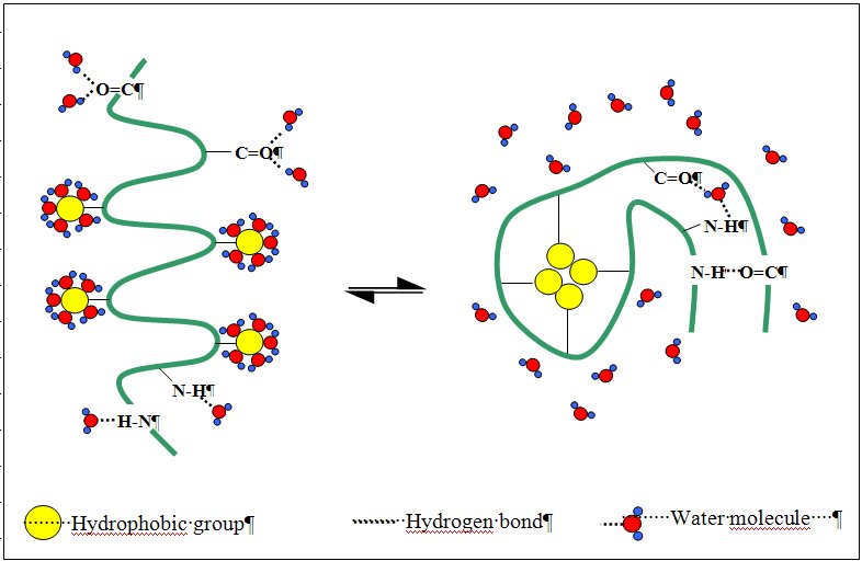 The role of water in the structure and function of biological